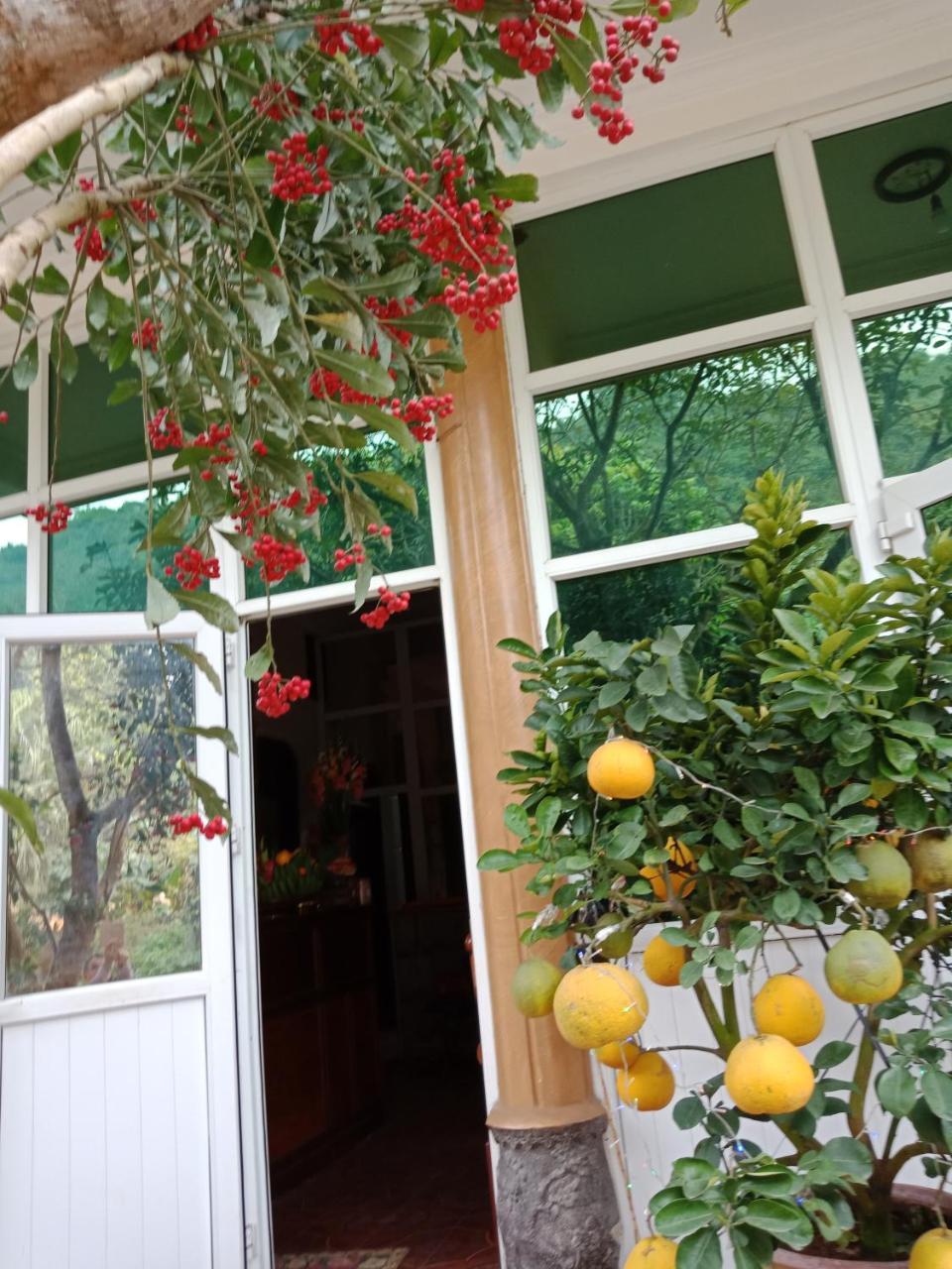 Cuc Phuong Hao Tham Homestay Hotel Nho Quan Exterior foto